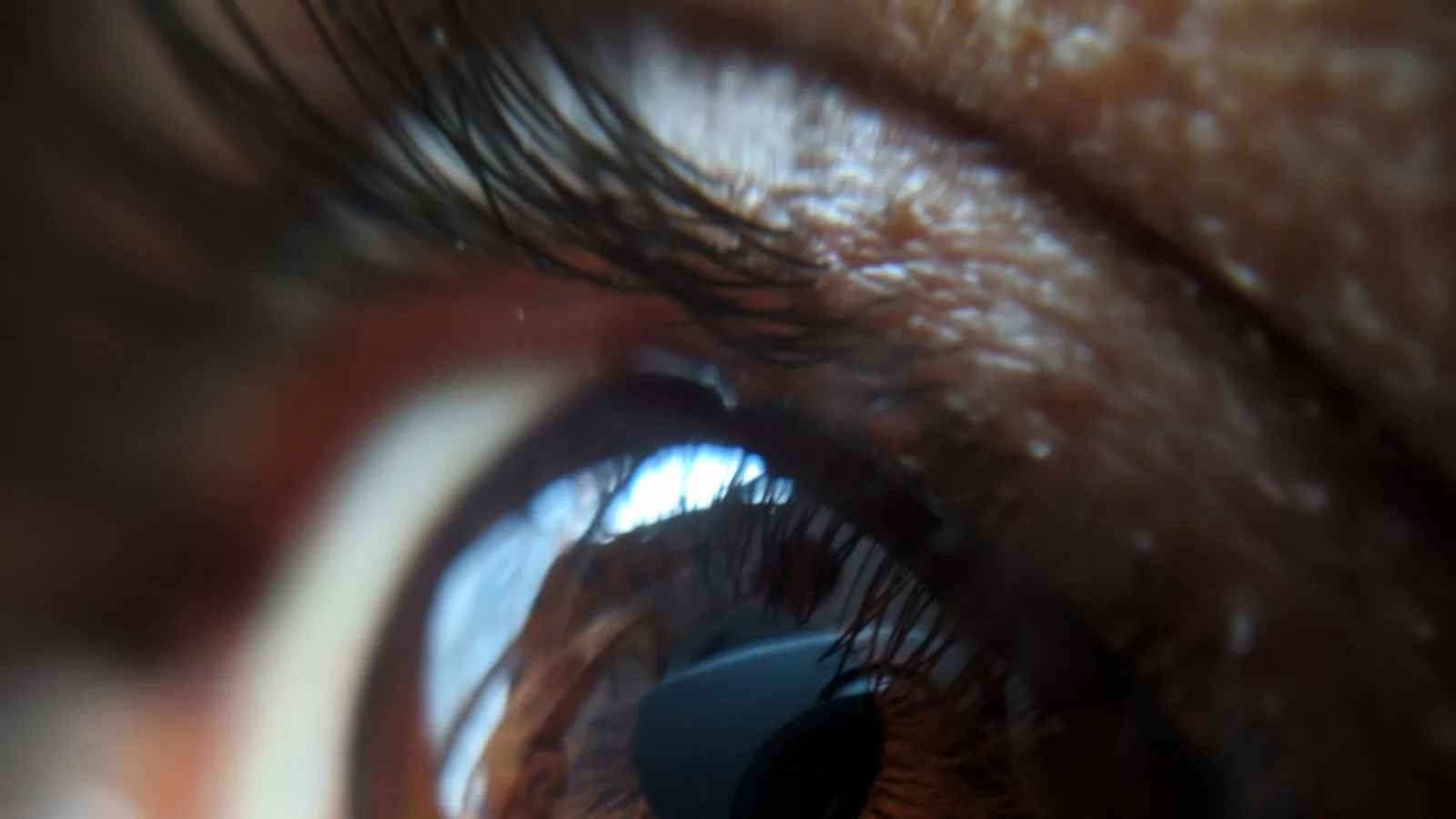 Close-up do olho humano mostrando detalhes da íris e dos cílios